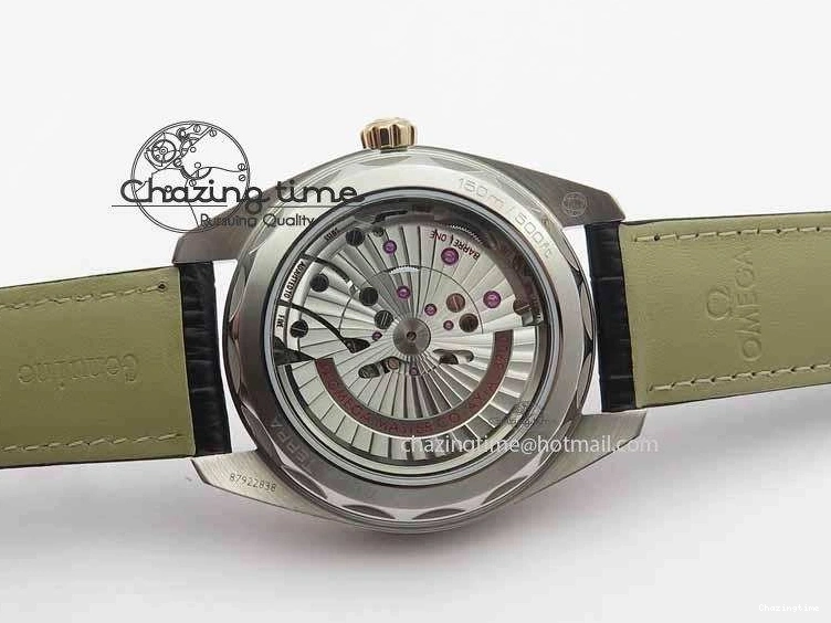 0202 2017 Aqua Terra SS RG XF Best Edition White Textured Dial On Black Leather Strap A Functional 8157